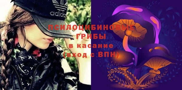бошки Абинск